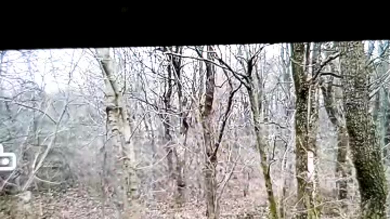 Regős Judit zaklatása 2025 02 11