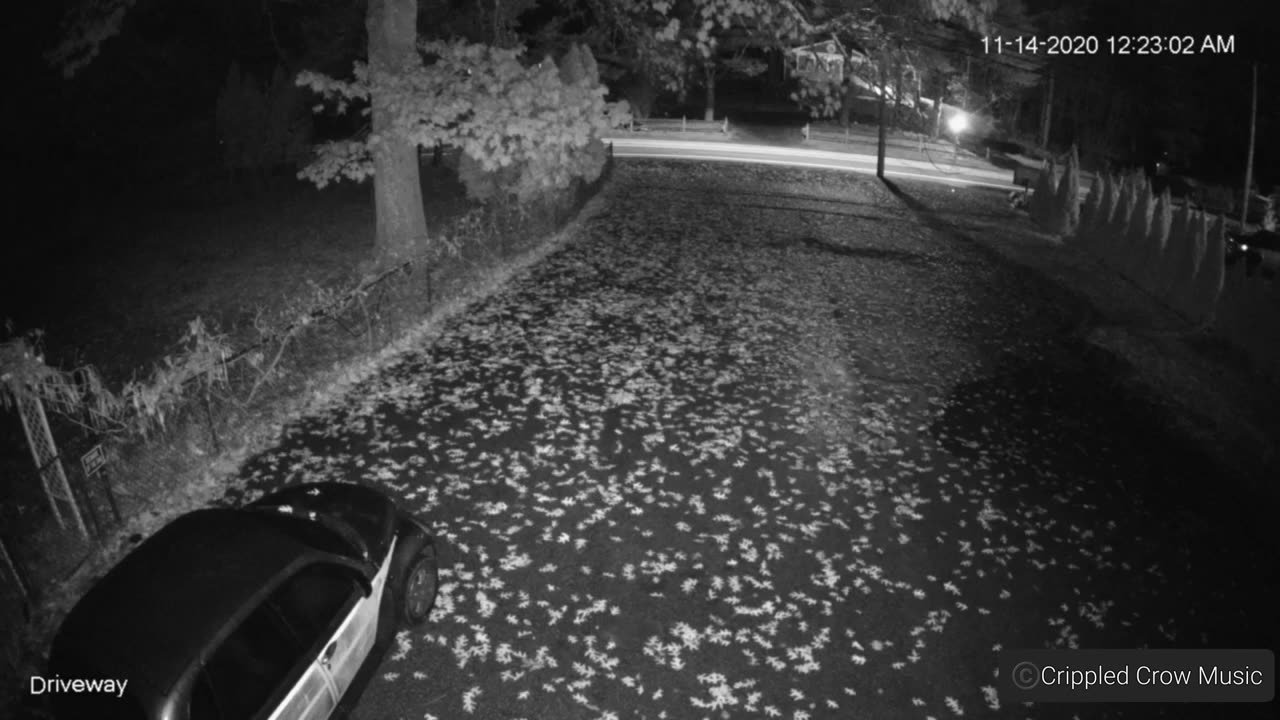 👽🎵 Strange Music Captured on Garage Cam – Unexplained Phenomenon 2020 | TheTruthAbove