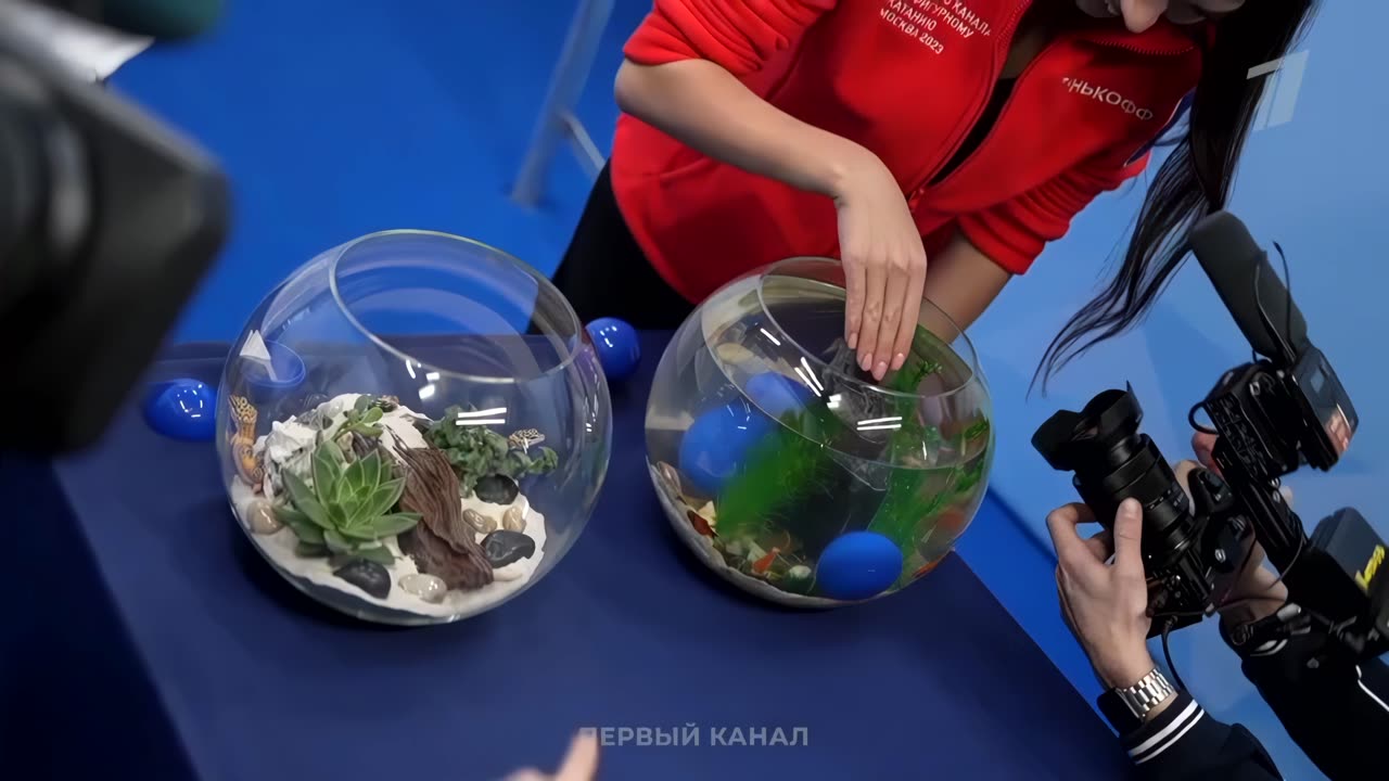 hghh