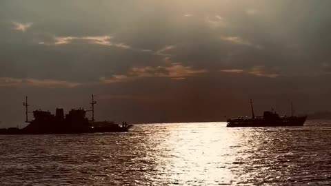 Daily Horoscope | Leo 🌟