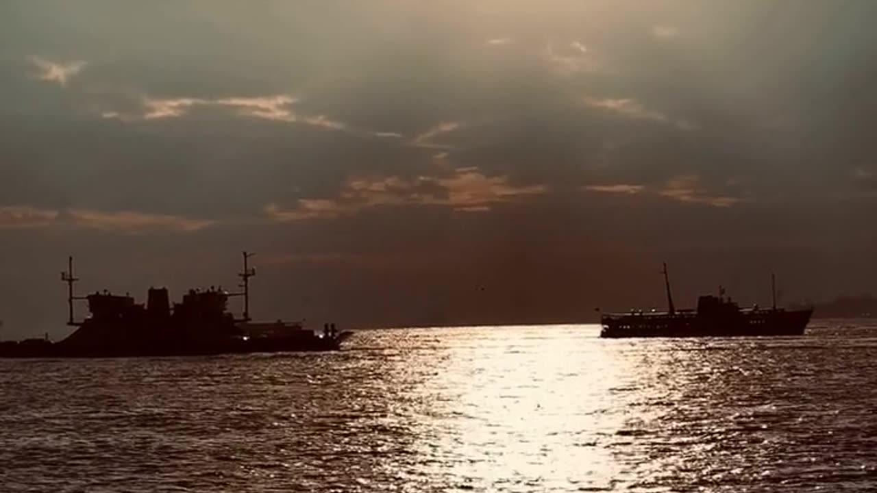 Daily Horoscope | Leo 🌟