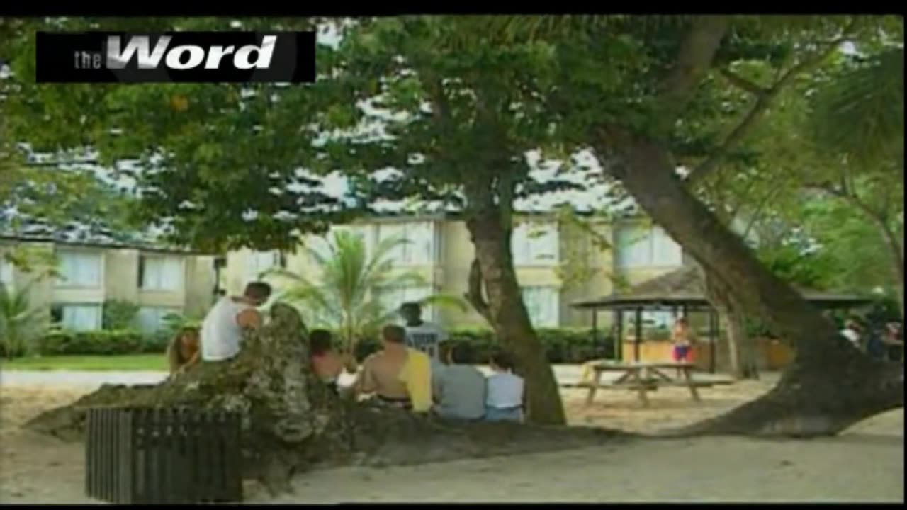 Sun, sin & zero memory. Hedonism 2 (1992)