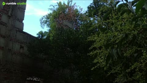 Mañana del 2 de enero - Tacurembó, Uruguay 2026