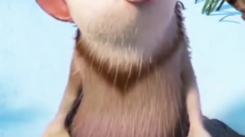 This is true love ❤