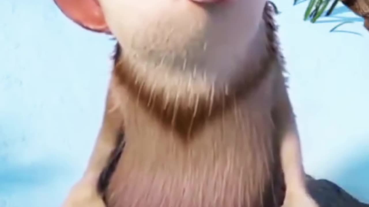 This is true love ❤