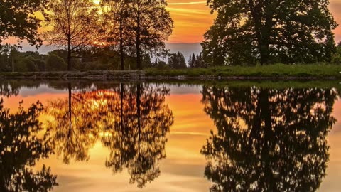 🌿 Let Go and Find Peace | Grabovoi Meditation for Emotional Freedom