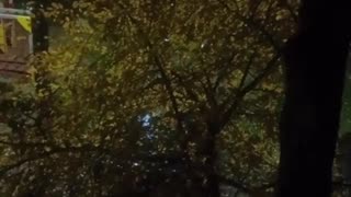 🏠🇺🇦 Ukraine Russia War | Russian Civilian Reacts to Ukrainian UAV | RCF