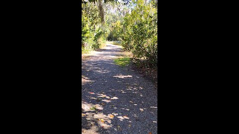 Spotted a grey heron, but he spotted me too.