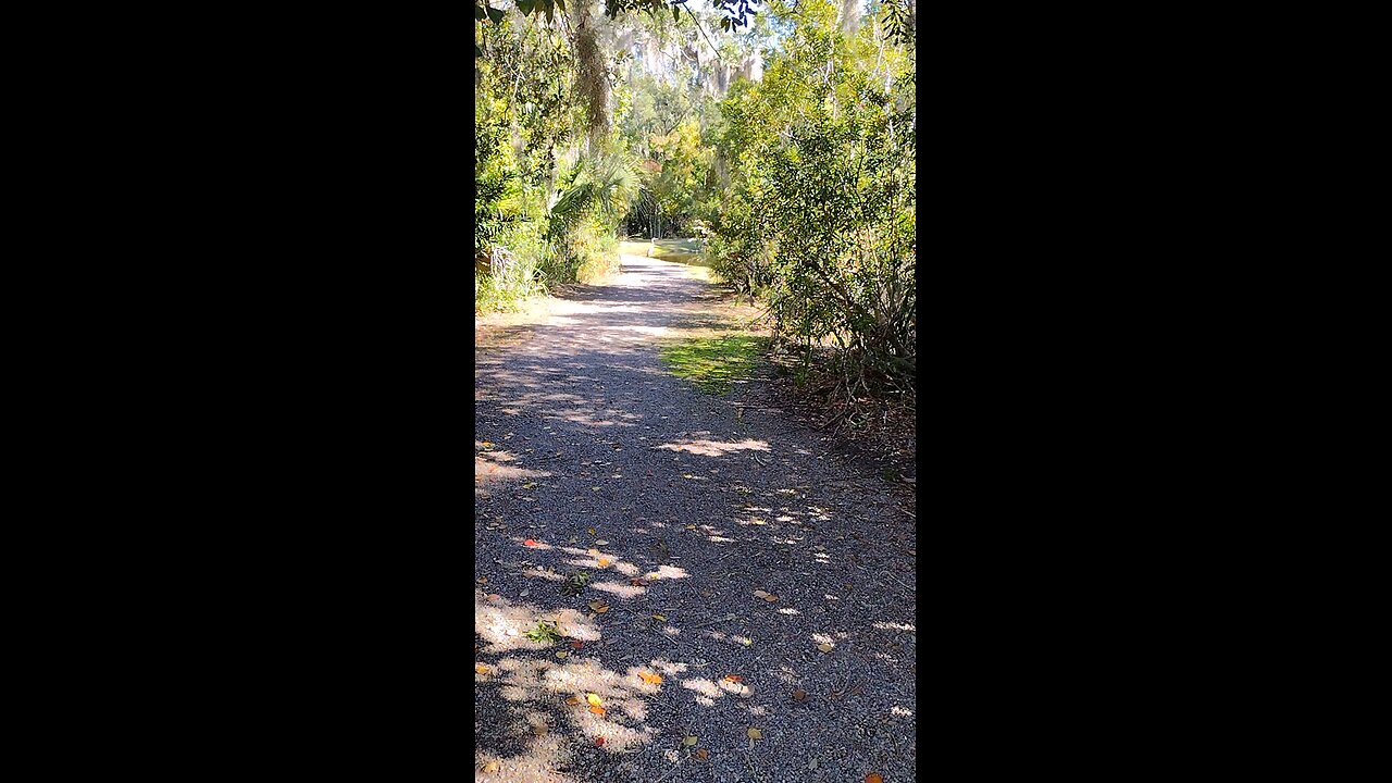 Spotted a grey heron, but he spotted me too.