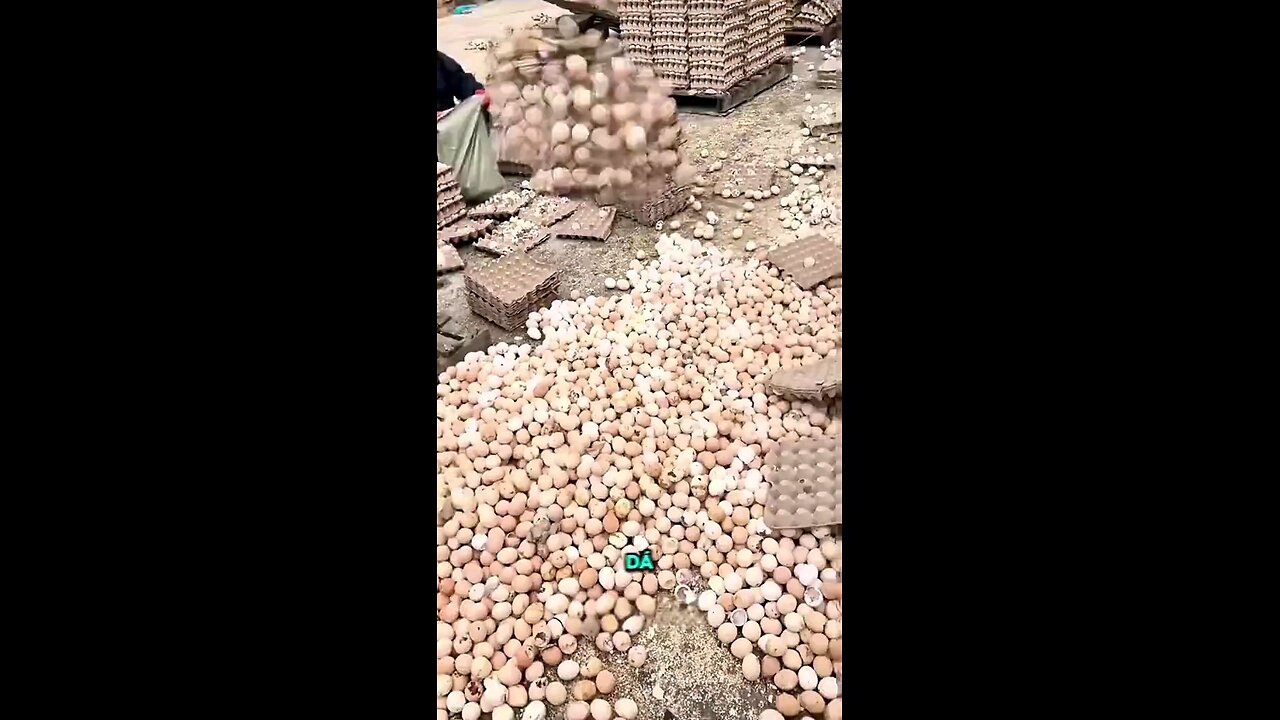 Quase nada escapa dos falsificadores.