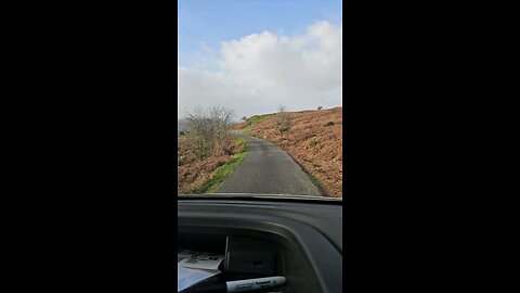 beautiful road