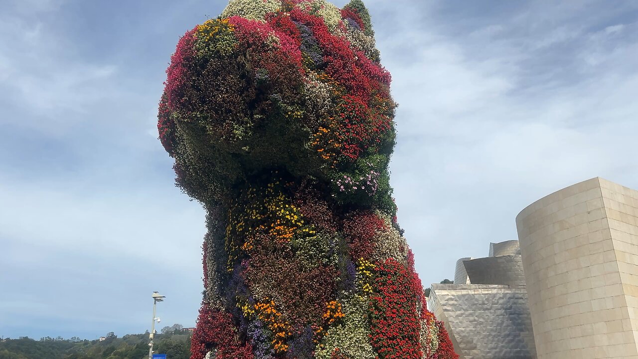 Perro de flores