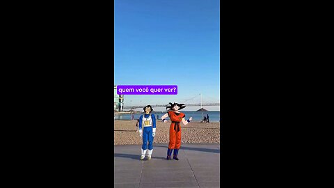 Goku e vegeta