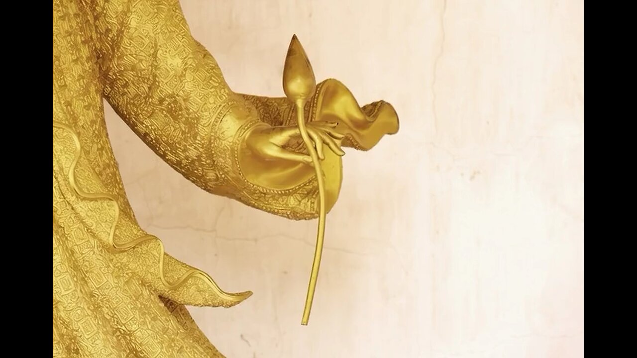 Loto dorado floreciendo