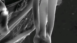 IN 2021, DR. ZALEWSKI FOUND THESE PARASITIC CREATURES IN COVID SHOTS CALLED “THE THING”