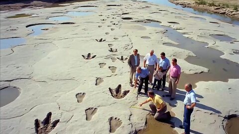 L’évolution et le caractère de Dieu L’évolution et l’origine de la mort 🇫🇷
