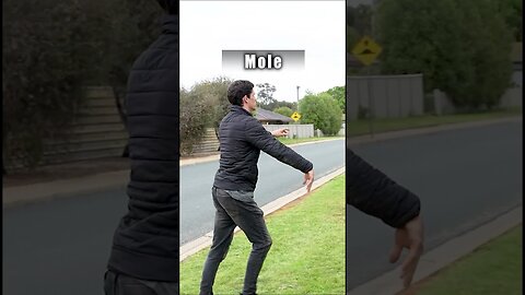 How different animals get over a fence (Compilation)
