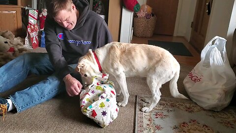 Tazer's Christmas 2025