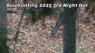Bowhunting 2025 3rd Night Out