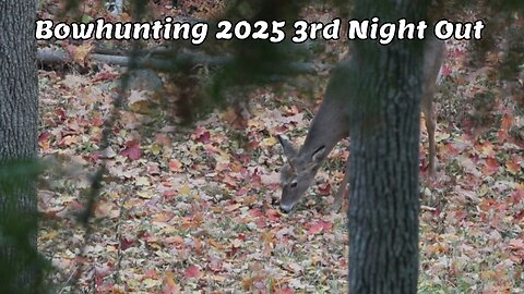 Bowhunting 2025 3rd Night Out