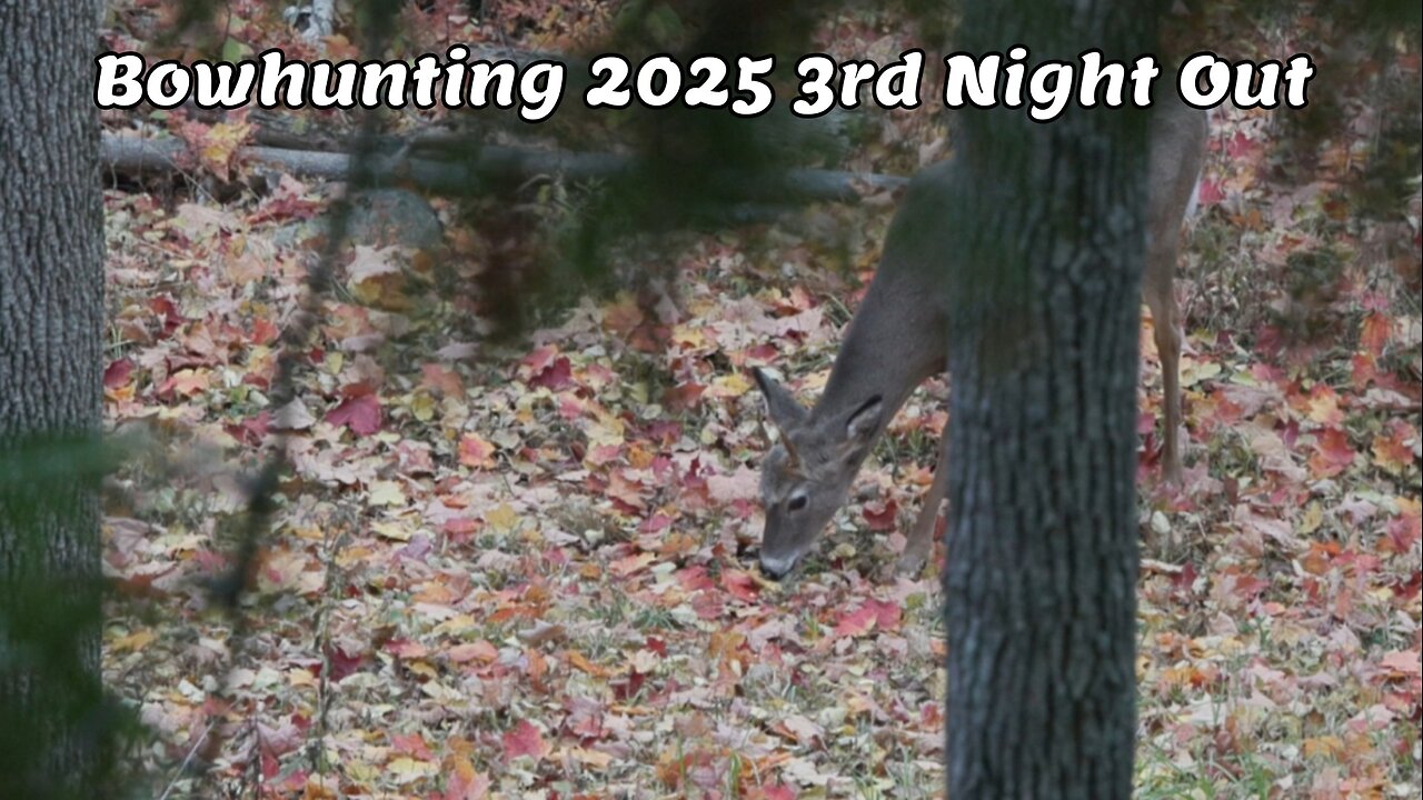 Bowhunting 2025 3rd Night Out