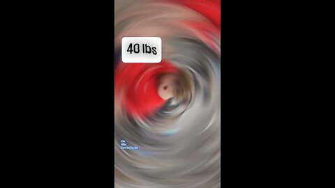 40lbs Wide Grip DB Bicep Curls (Lite) [Right-Side] | #fitness #biceps 💪