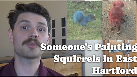 Someone's Painting Squirrels In East Hartford