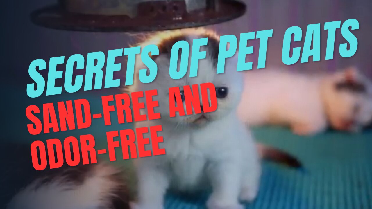 SECRETS OF PET CATS