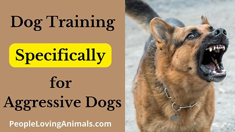 Got an Aggressive Dog? This Training Will Solve It!