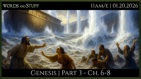 The Flood Reset | WaS Bible Study