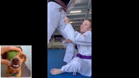 Funny videos compilation 57