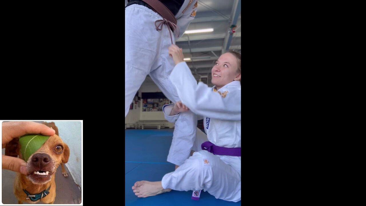 Funny videos compilation 57