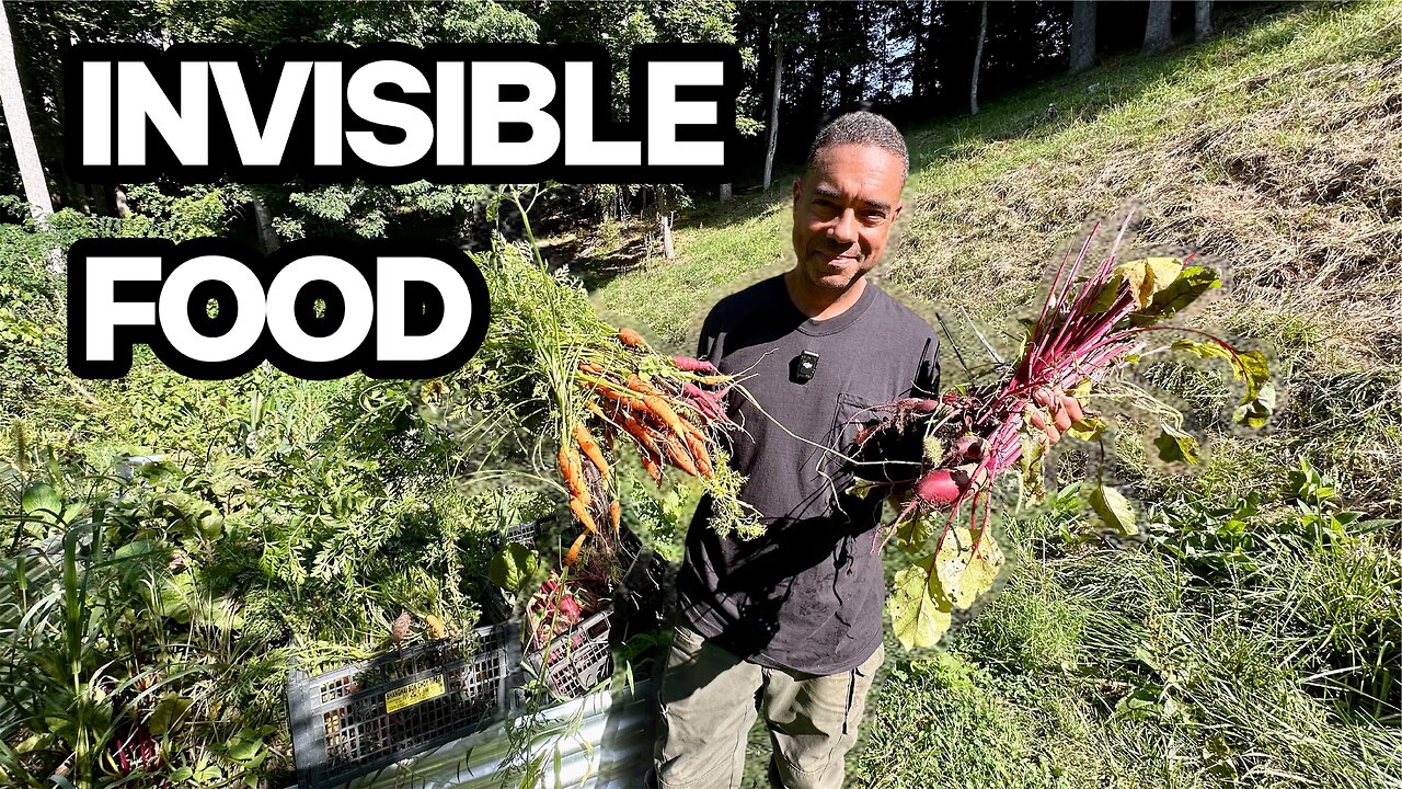 The Garden Nobody Notices Could Save Your Family