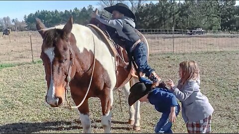 Kids Help Each Other Up on the Horse 🤣 _ BEST Animal Videos