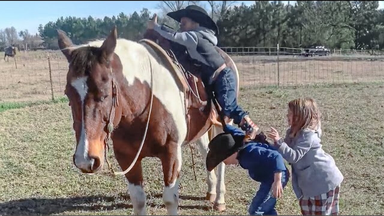 Kids Help Each Other Up on the Horse 🤣 _ BEST Animal Videos