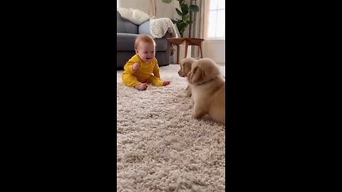 beby and dogs funy video | kids enjoy