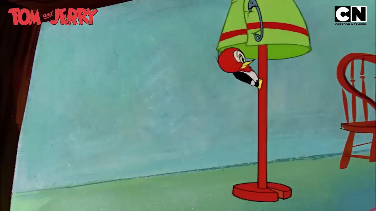 Tom and Jerry Funny Fight