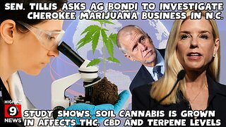 Bill would protect public employees who use medical marijuana
