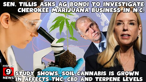 Bill would protect public employees who use medical marijuana