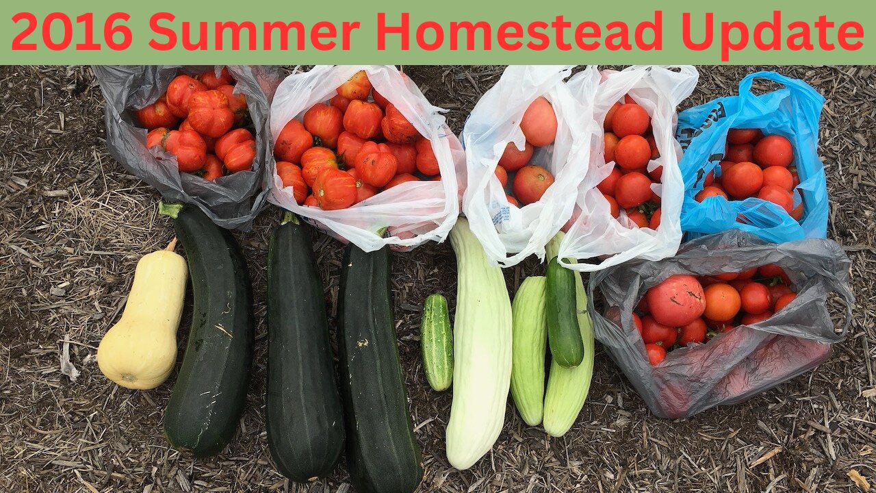 2016 END OF SUMMER HOMESTEADING UPDATE