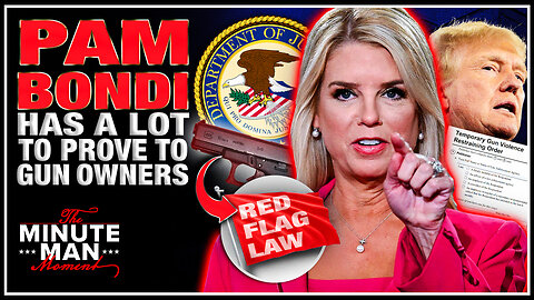 Taking A Look At Pam Bondi's Mixed Record On Guns