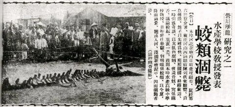 Yingkou Dragon