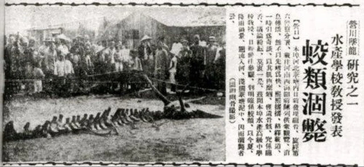 Yingkou Dragon