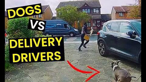 When Dogs Attack Delivery Drivers 😱 | Caught on Camera!