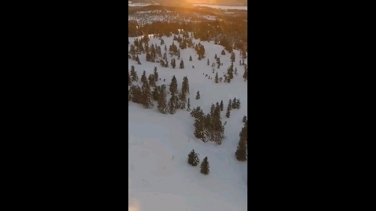 Daily Verse December 3rd 2025