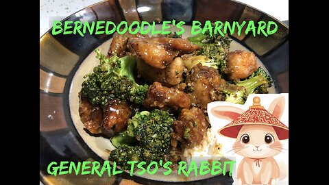 General Tso’s Rabbit Recipe : Cooking with Rabbit VLOG#039