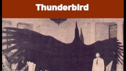 The Thunderbird