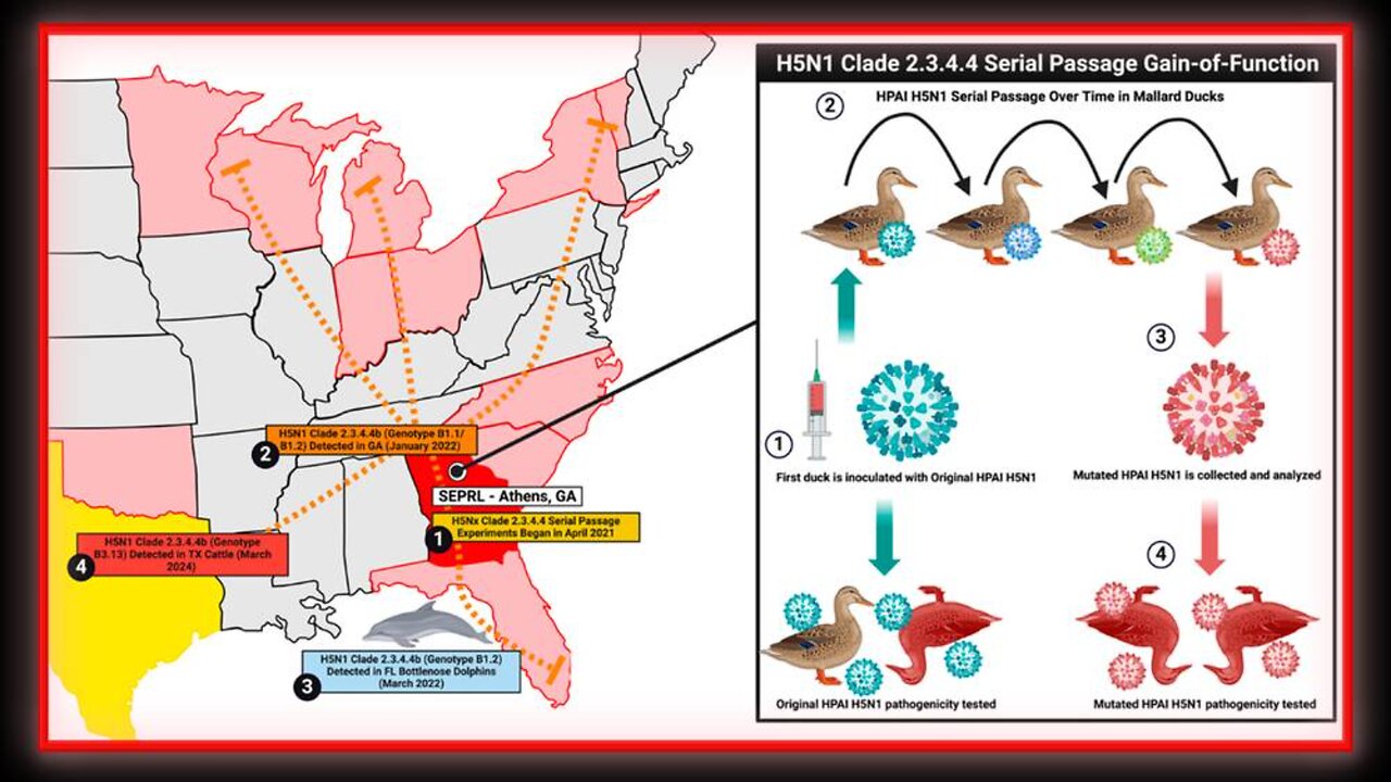 Current Bird Flu Strain Is Product Of Gain-Of-Function Research In Georgia Biolab - Peter McCullough