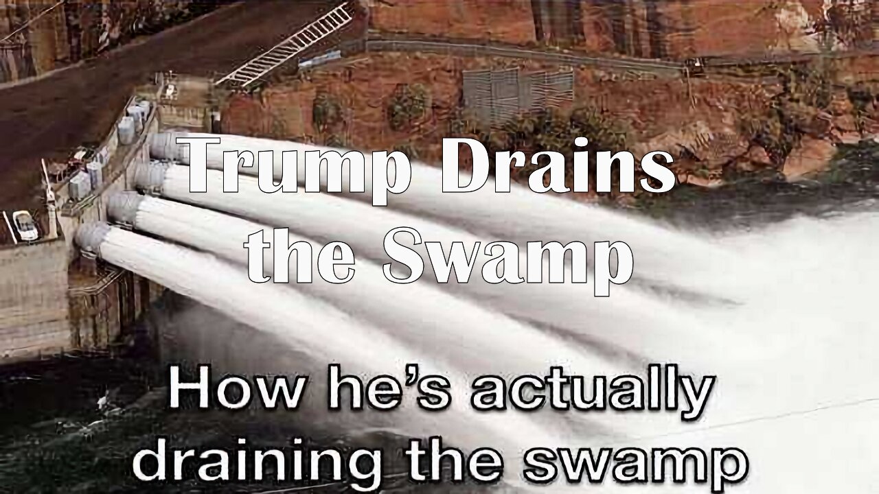 The Rant - EP 297 - Trump Drains The Swamp