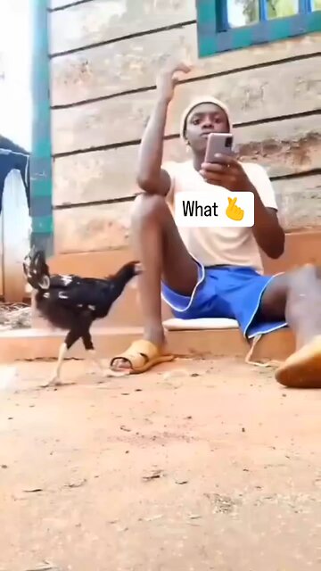 Rumble trendingreels Rumble reels rel Rumble viralvideos fanyfanytiffany trending